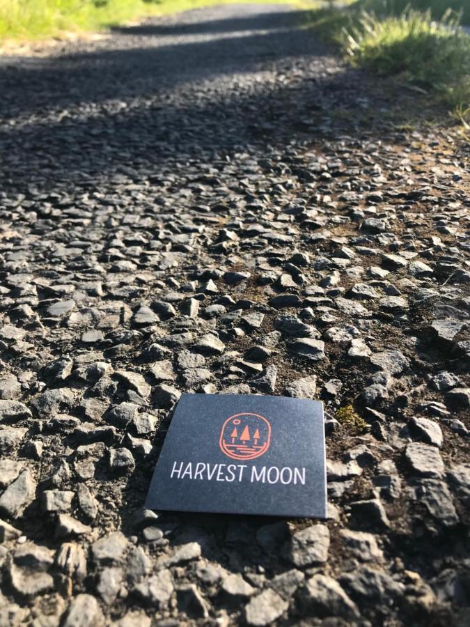 Harvest Moon Bed and Breakfast Doolin Buitenkant foto